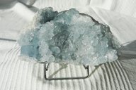 Coelestin</br></br>
L:12,5cm /B:6,0cm</br>
Art.Nr.0LD3056</br>
€   30,00